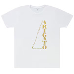 T-Shirt (S/M/L)