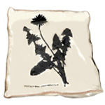 Cushion